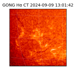 gong - 2024-09-09T13:01:42