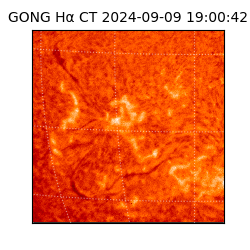 gong - 2024-09-09T19:00:42
