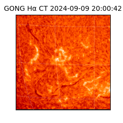 gong - 2024-09-09T20:00:42