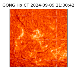 gong - 2024-09-09T21:00:42