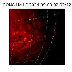 gong - 2024-09-09T02:02:42