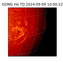 gong - 2024-09-09T10:00:22