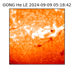 gong - 2024-09-09T05:18:42