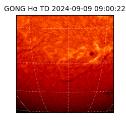gong - 2024-09-09T09:00:22