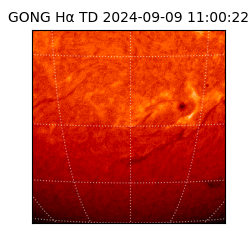 gong - 2024-09-09T11:00:22