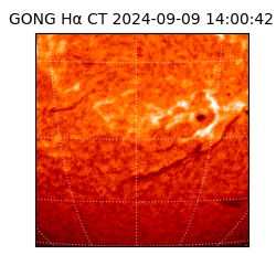 gong - 2024-09-09T14:00:42