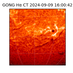 gong - 2024-09-09T16:00:42