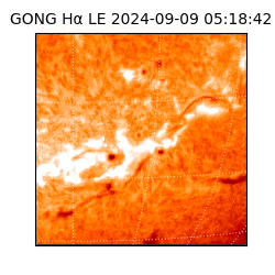 gong - 2024-09-09T05:18:42