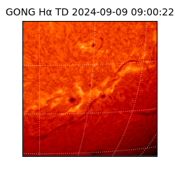 gong - 2024-09-09T09:00:22