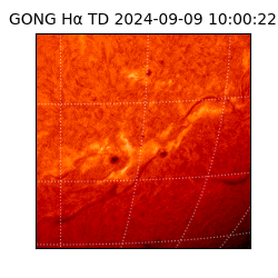 gong - 2024-09-09T10:00:22