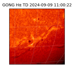 gong - 2024-09-09T11:00:22