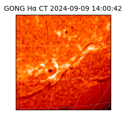 gong - 2024-09-09T14:00:42