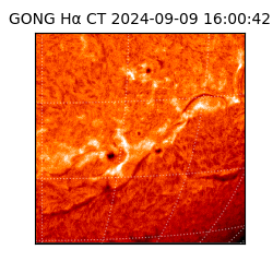 gong - 2024-09-09T16:00:42