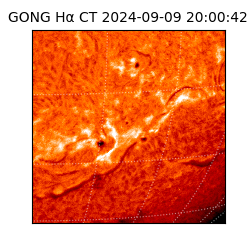 gong - 2024-09-09T20:00:42