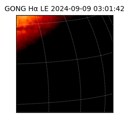 gong - 2024-09-09T03:01:42