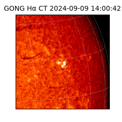 gong - 2024-09-09T14:00:42