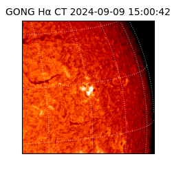 gong - 2024-09-09T15:00:42
