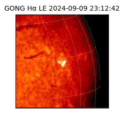 gong - 2024-09-09T23:12:42