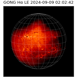 gong - 2024-09-09T02:02:42