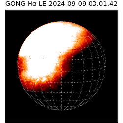 gong - 2024-09-09T03:01:42
