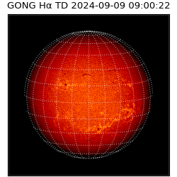 gong - 2024-09-09T09:00:22