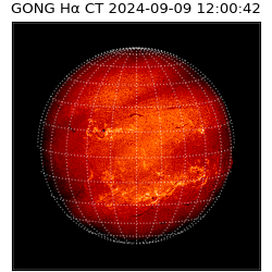 gong - 2024-09-09T12:00:42