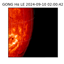 gong - 2024-09-10T02:00:42