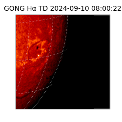 gong - 2024-09-10T08:00:22