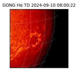gong - 2024-09-10T08:00:22