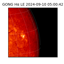 gong - 2024-09-10T05:00:42
