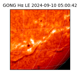 gong - 2024-09-10T05:00:42