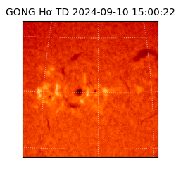 gong - 2024-09-10T15:00:22