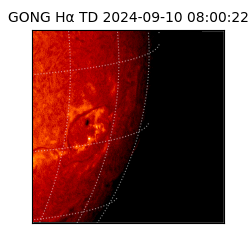 gong - 2024-09-10T08:00:22