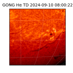 gong - 2024-09-10T08:00:22