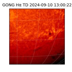 gong - 2024-09-10T13:00:22