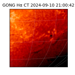gong - 2024-09-10T21:00:42