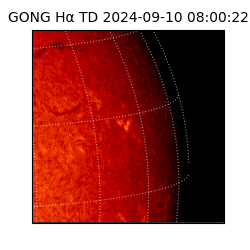 gong - 2024-09-10T08:00:22