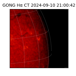 gong - 2024-09-10T21:00:42