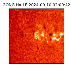 gong - 2024-09-10T02:00:42