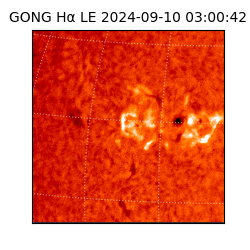 gong - 2024-09-10T03:00:42