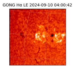 gong - 2024-09-10T04:00:42