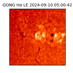 gong - 2024-09-10T05:00:42