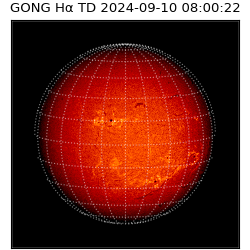 gong - 2024-09-10T08:00:22