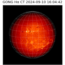 gong - 2024-09-10T16:04:42
