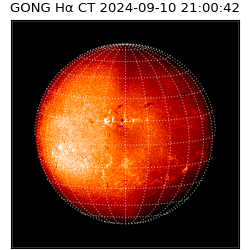 gong - 2024-09-10T21:00:42