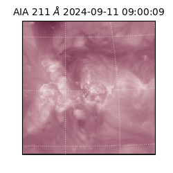 saia - 2024-09-11T09:00:09.626000