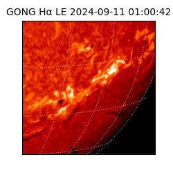 gong - 2024-09-11T01:00:42