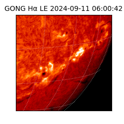 gong - 2024-09-11T06:00:42