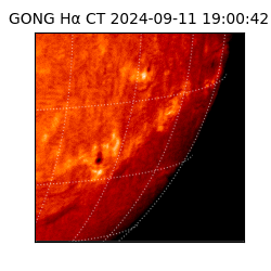 gong - 2024-09-11T19:00:42