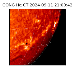 gong - 2024-09-11T21:00:42